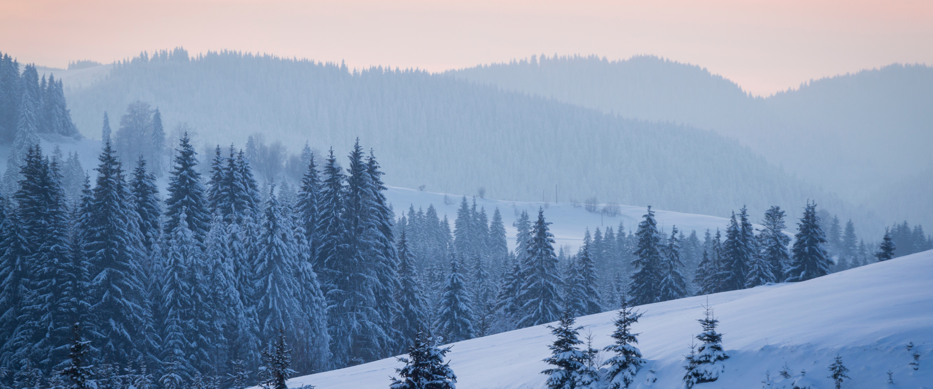 Vinterlandskap, hvor skog og bakke er dekt av snø